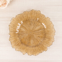 Acrylic Reef Charger Plates 13" Round Set of 6
