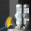 Automatic Bird Water Dispenser with Trigger Pin 1