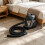 Vacuum Hose Replacement For PUZZI 8 Suction Dust-2.4 meters 6