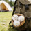 Charming Plush Xiaolongbao Key Ring Stylish Hanging Pendant 5