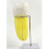 Quality PVC Human Molar Anatomy Demonstration Model Human Molar 5