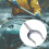 Rustproof Kayak Accessory With Secure Locking Mechanism for 6