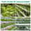 Garden Rock Wool Nutrient Blocks for Plants 100 pcs 3