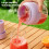 Mini electric juicer cup for fruit, portable, 1 unit 5