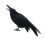 Realistic Crow Decoration Black Feathered Prop 2pcs 3