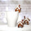 Stainless Steel House-Shaped Cookie Cutters 3 pcs 3