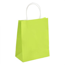 TEVEQ Kraft Paper Face and Storage Bags 4 pcs