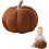 Pumpkin Throw Pillow – Plush Decorative Cushion 1