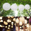Round white paper lantern 30 cm hanging lampshade 4