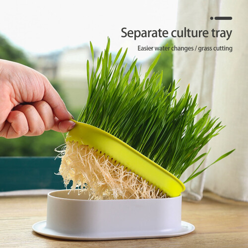 ABS Sprouting Tray for Cat Grass & Sprouts 18.9 x 12.3 x 2