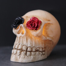 3D LED Skull Lamp with Dimmer – Halloween Decor & Desk