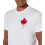 Dsquared2 DSquared2 Mens Dripping Maple Leaf Cotton T-Shirt 4