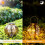 Outdoor Solar Garden Light with Auspicious Cloud Pattern 3