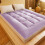 Fiber Mattress for Students Soft Thickened Padded 4