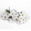 Artificial Poinsettia Bushes White35cm4Pack 8