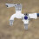 Robinet d'eau froide double sortie pour lave-linge 4