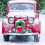 Car Christmas Wreath with LED Lights 30cm 4