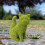 YSJZBS Hjem Flocking Hunde Topiary Dekorasjon 1 stk 3