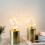 2 Table Lamp Battery Powered 20cm Cordless Lamp 5