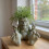 Unique Succulents Pots Bigfeet Succulents Planter Container 5