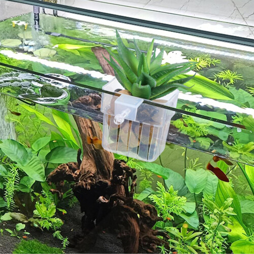 Panier de support de plante de tasse de plante suspendue 1