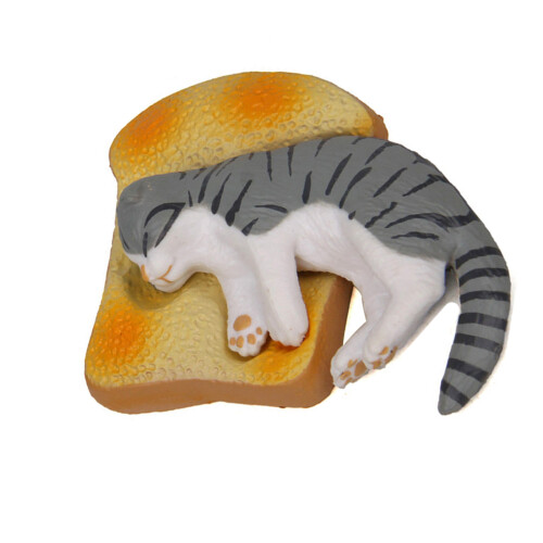 Niedliche schlafende Katzen und-Grau