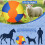 Balle gonflable pour chien, durable, avec fermetures-Bleu 45cm 7