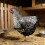 Waterproof See Through Wing Cover For Poultry Prevents-O 7