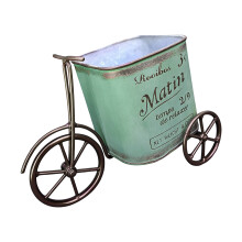 Lovely Flowers Display Bike Pot for Courtyard And Deck-Green