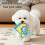 Jouet d'interaction anti-mastication pour chien, avec-3 6