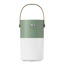 T30 5W Tragbare Mückenschutzlampe für den Außenbereich (Grün)