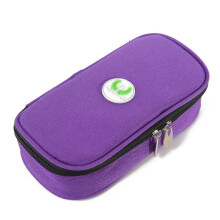 Mantenha-se fresco em qualquer lugar: Bolsa térmica para diabéticos com forro isolante e bolsas de gelo inclusas, feita em nylon resistente para