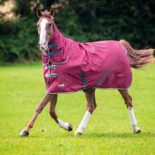 (4' 3", Maroon) Tempest Original 200 Combo Neck Horse Turnout Rug