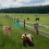 Ultrasonic Solar Power Ground-inserted Animal Repeller(Green) 5