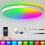 Plafonnier WiFi RGB 24 W, à intensité variable avec télécommande pour la maison 1