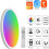 Plafonnier WiFi RGB 24 W, à intensité variable avec télécommande pour la maison 4