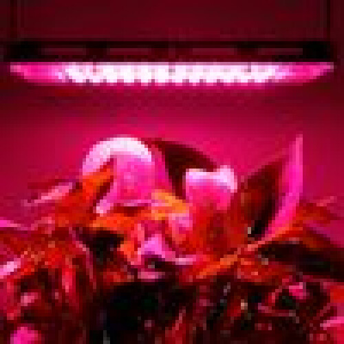 Λάμπα LED για φυτά, φως ανάπτυξης πλήρους φάσματος για βελτιωμένη φωτοσύνθεση και 2