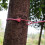Windfeste Rosa Mit Elastischen Gummibändern 3