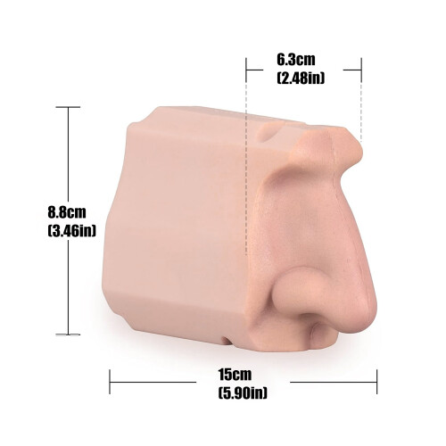 Modèle scientifique de passage nasal, outil de visualisation 2