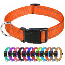Reflecterende nylon hondenhalsbanden, klassieke verstelbare halsband met snelsluiting, oranje (M 2,5 cm/35-50 cm)