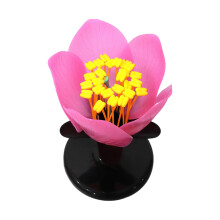Educational Magnified Peach Blossom Model Realistic Flower Ovary