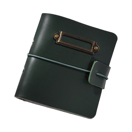 Premium PU Picture Keeper With Plastic Page And-Green