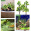 10pcs Miniature Model Trees for DIY and Office Decoration Plastic Sand Table Tree Ornaments 7