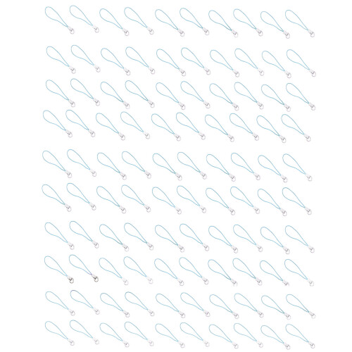 Spring Clasp Accessory For Personalize Phone-Light Blue
