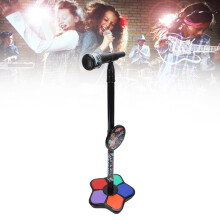 Kinder-Mikrofon-Spielzeug 3x AA-Batterien 21100 cm 5-farbige Lichter