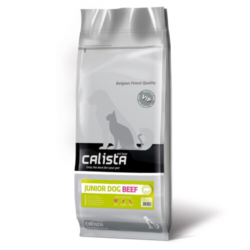 CALISTA - Chiot de bœuf - 12 kg