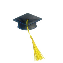 Elegant Tassels Hair Clip Designed Like A Tiny Graduation Cap