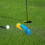 Golf Putting Circle Trainer Silicone Target Ring for Indoor and Outdoor Practice 6