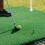 Golf Swing Training Stick with Sturdy Solid Ball and Connector Lightweight Golf Practice Aid 5