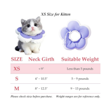 Collier de convalescence violet pour chats, chiens et lapins : cône de cicatrisation post-opératoire pour prévenir le léchage et les m